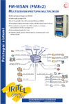 FM-s (pdf)